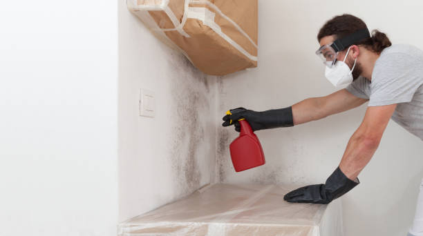 Professional Mold Cleanup technician working in Stow, MA