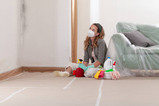 Reliable Mold Cleanup contractor in Stow, MA by WQB Mold Removal